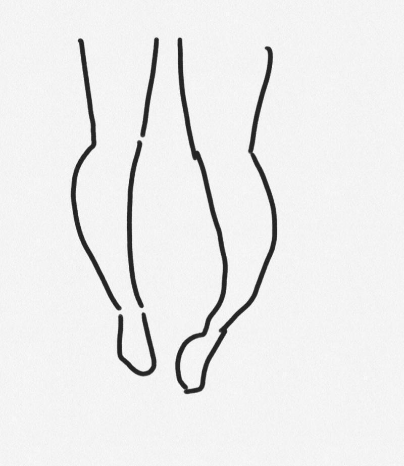 이거 올릴라고했음 종아리 내가볼땐 일본 특유의 일본비하아니다 다리있잖아 모으는 다리 그거 표현할라고 종아리 그렇게 휘었나봄 볼때마다 그릏다 근데 갑자기 휴재하셨지