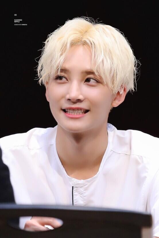 세븐틴 정한이 안나올줄은