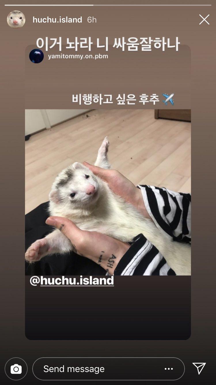요정들 아직 클라우드를 못놓고있기때문에 제가 좋아하는 윤진영은 명인걸로 후추아빠지녕씌 애쉬아일랜드 씨더블엘클라우드