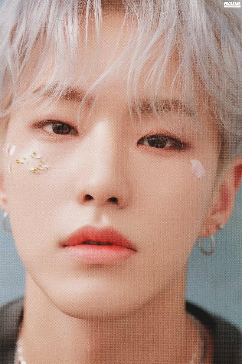 세븐틴 호시