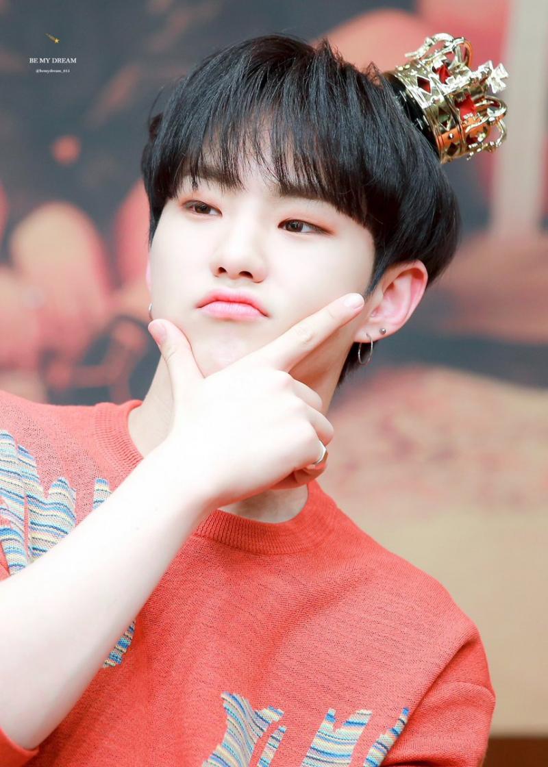 세븐틴 호시