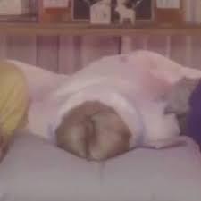 아무도 애기 빵실 복숭아를 알려주지 않았다고 사랑 사랑해사랑해 많이 많이 올려줘