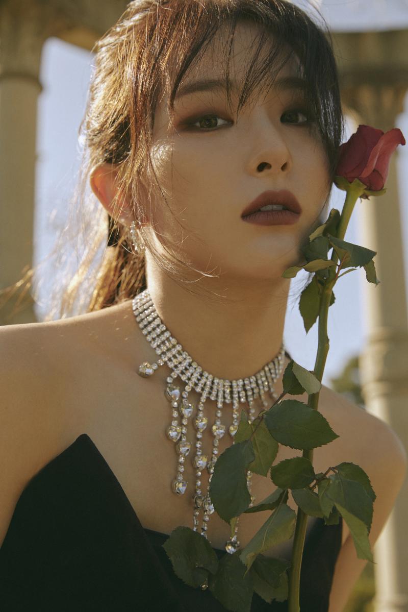 사진은 최애짤