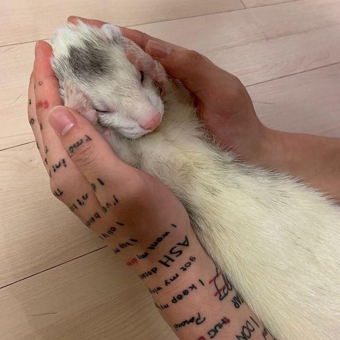 후추후추