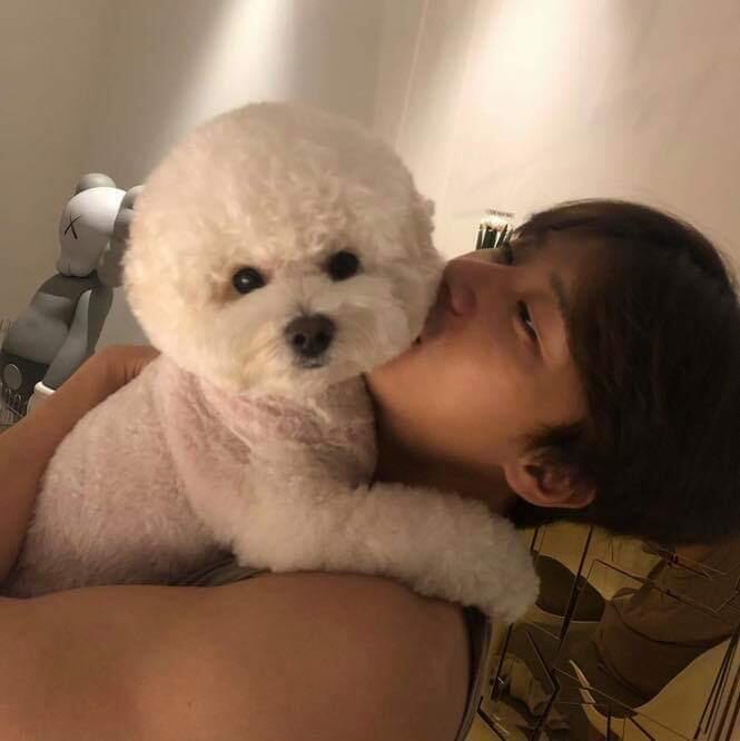 진짜 고야 서준