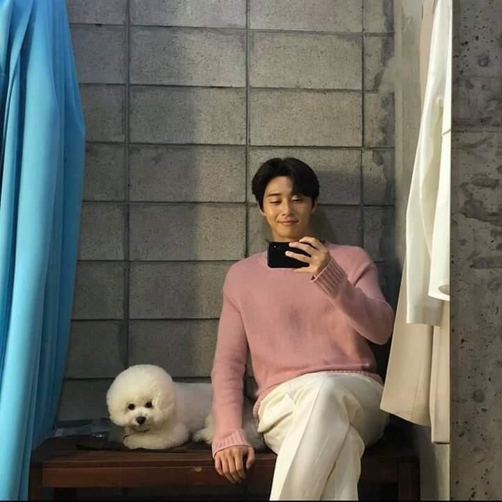 진짜 고야 서준