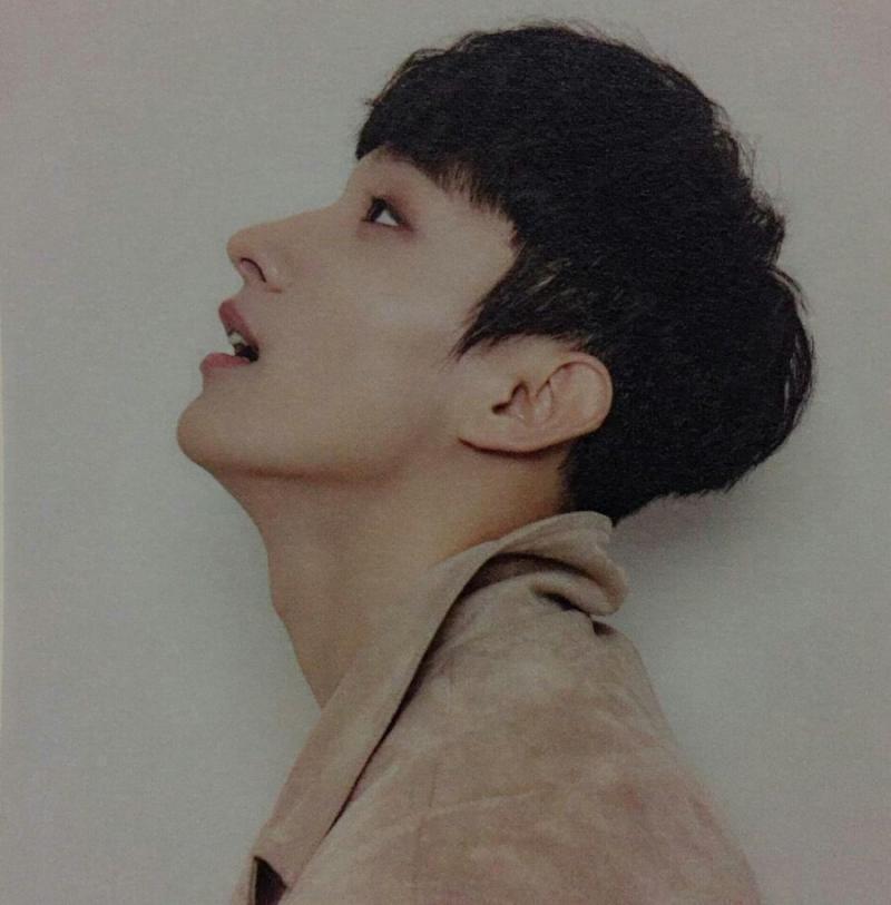 이거 암만 봐도 도겸이를 위한 스레야 우리 도겸이 콧날 베일 같이 생김 등산 가도 같아 완전 미남 콧대