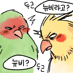 뉴비가 나타났다 마지막 원본