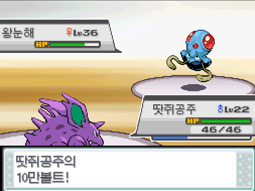 체육관 관장 규리는 고급상처약을 썼다 땃쥐공주의 만볼트 효과가 굉장했다 땃쥐공주는 무엇을 할까 싸운다 만볼트 독엄니 괴력 오물공격 가방 상처약 포켓몬 Lv 루시퍼 Lv 이브이브이