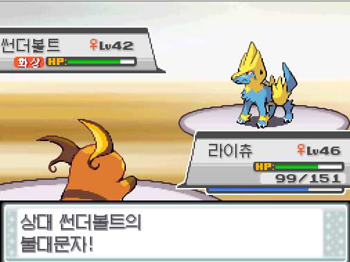 탕탕이 돌아와 가랏 라이츄 상태 썬더볼트의 불대문자 상대 썬더볼트는 화상 데미지를 입고 있다 라이츄는 무엇을 할까 싸운다 사이코키네시스 눈사태 볼트태클 구멍파기 가방 상처약