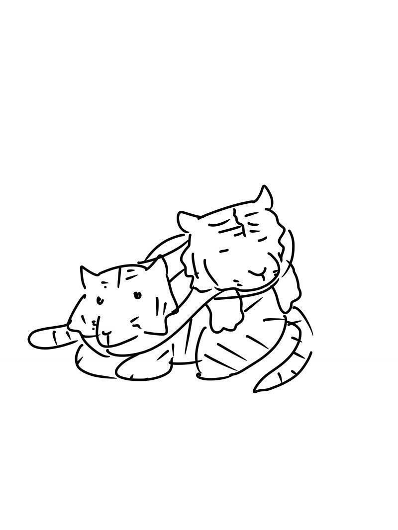 그낭 고양이 다음