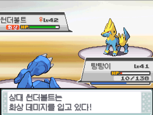 체육관 관장 규리는 고급상처약을 사용했다 탕탕이의 분연 공격 썬더볼트는 화상을 입었다 상대 썬더볼트는 화상 데미지를 입고 있다 탕탕이는 무엇을 할까 싸운다 아이언헤드 독찌르기