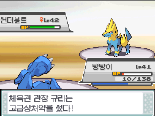 체육관 관장 규리는 고급상처약을 사용했다 탕탕이의 분연 공격 썬더볼트는 화상을 입었다 상대 썬더볼트는 화상 데미지를 입고 있다 탕탕이는 무엇을 할까 싸운다 아이언헤드 독찌르기
