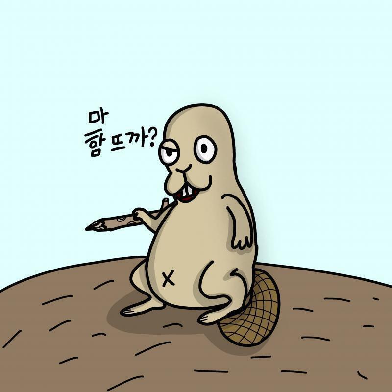 바보판 마스코트 머머리라고 놀렸더니 짜증이 난듯