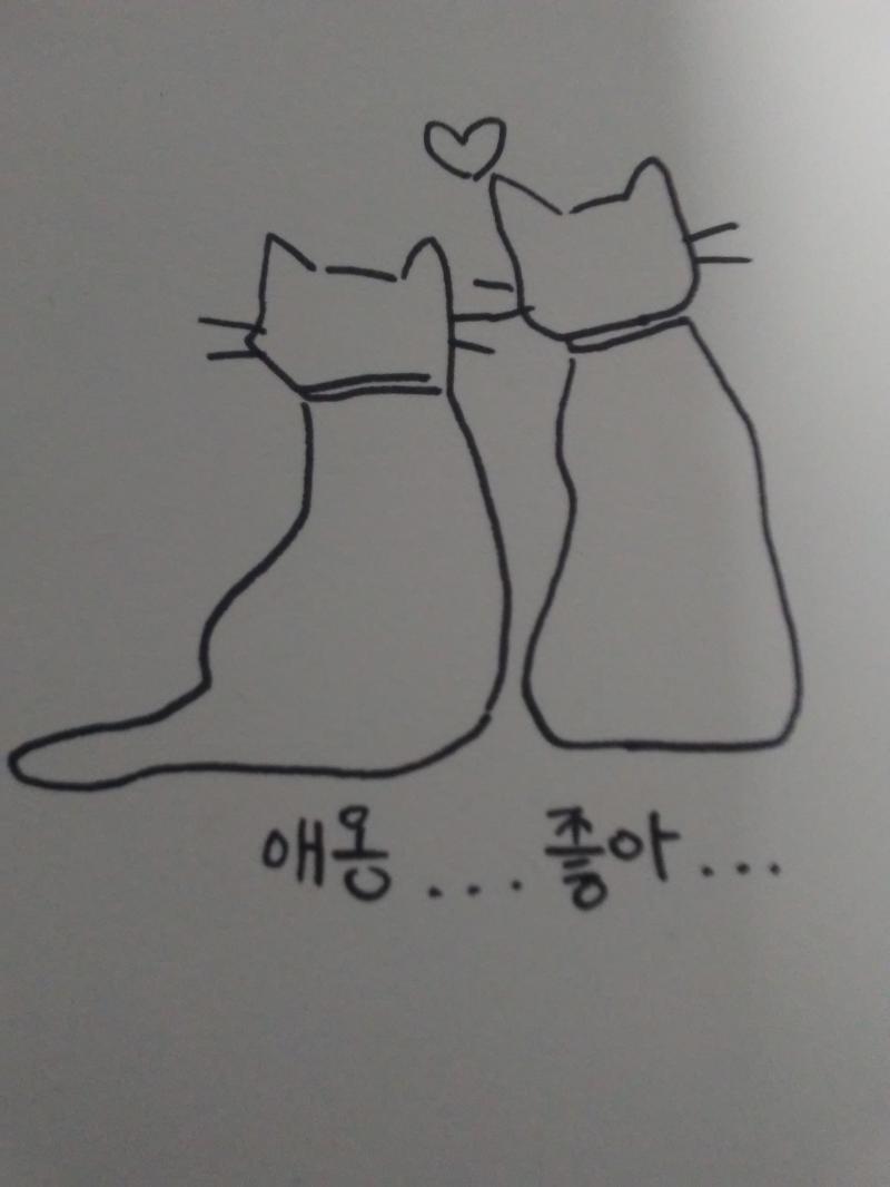 당연히 케릭터도 카메라 화질은 장담
