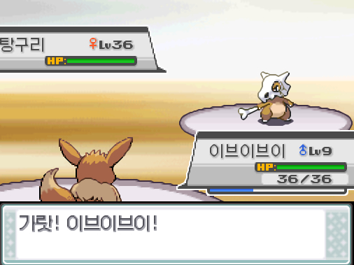 체육관 관장 규리가 승부를 걸어왔다 담청체육관에서 트레이너와 배틀할 있는 횟수 최대 현재 특별한 트레이너 제외 담청체육관에서 포켓몬과 만날 있는 횟수 최대 현재 담청체육관에서