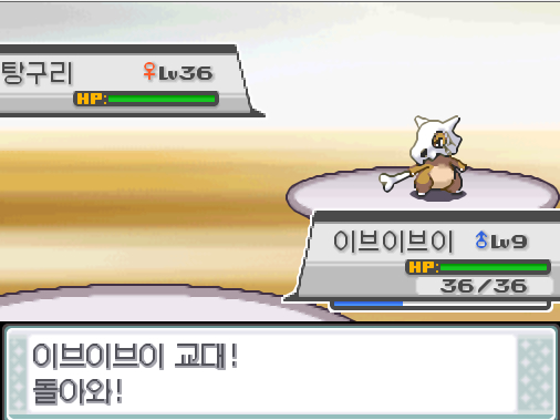 이브이브이 교대 돌아와 가랏 탕탕이 상대 탕구리의 점프킥 탕탕이는 무엇을 할까 싸운다 아이언헤드 독찌르기 분연 사이코커터 가방 상처약 포켓몬 Lv 루시퍼 Lv 이브이 Lv