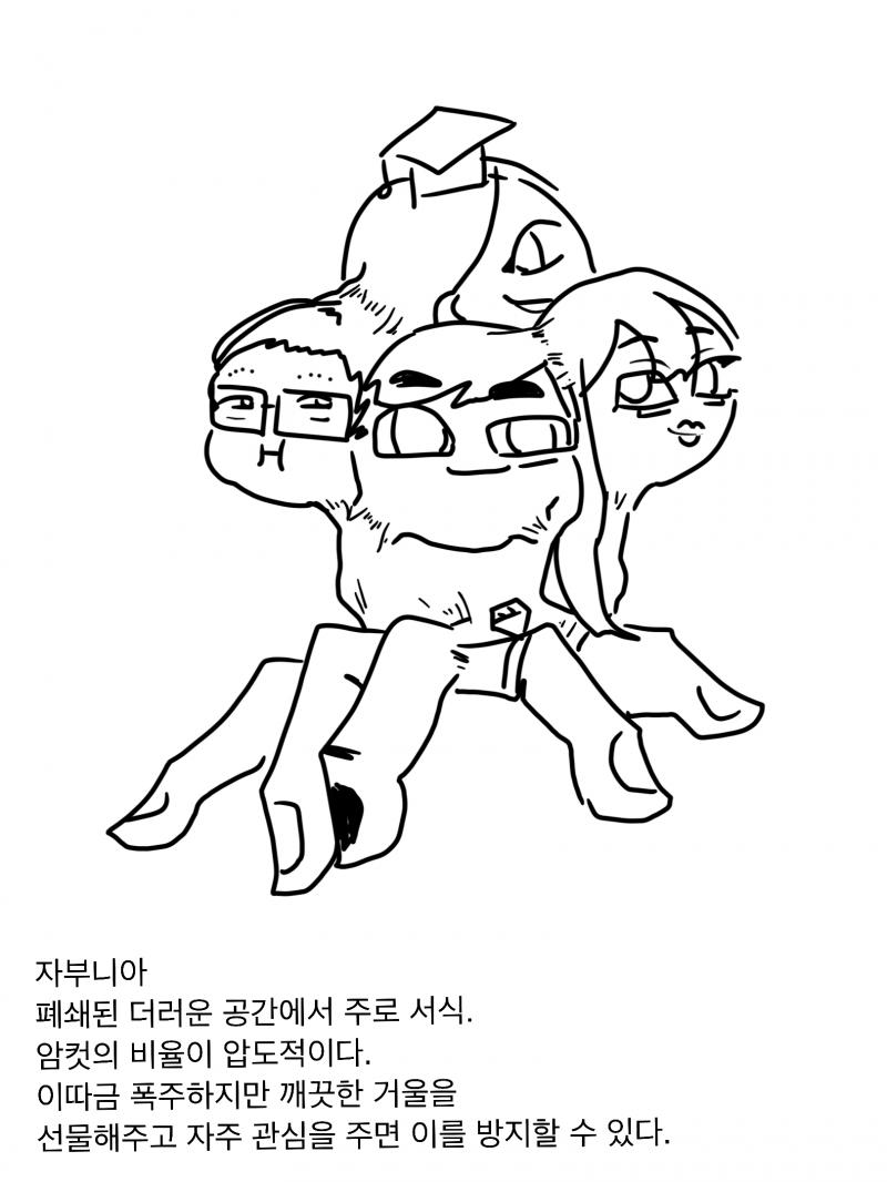 자부니 자부 자부 엄마 이게 뭐에요 너는 항상 키배 마스터가 되고 싶어했잖니 이제 너도 모험을 떠날 나이가 됐으니 자부니아를 받고 반드시 꿈을 이루렴 자부니아는 쌍의 눈으로