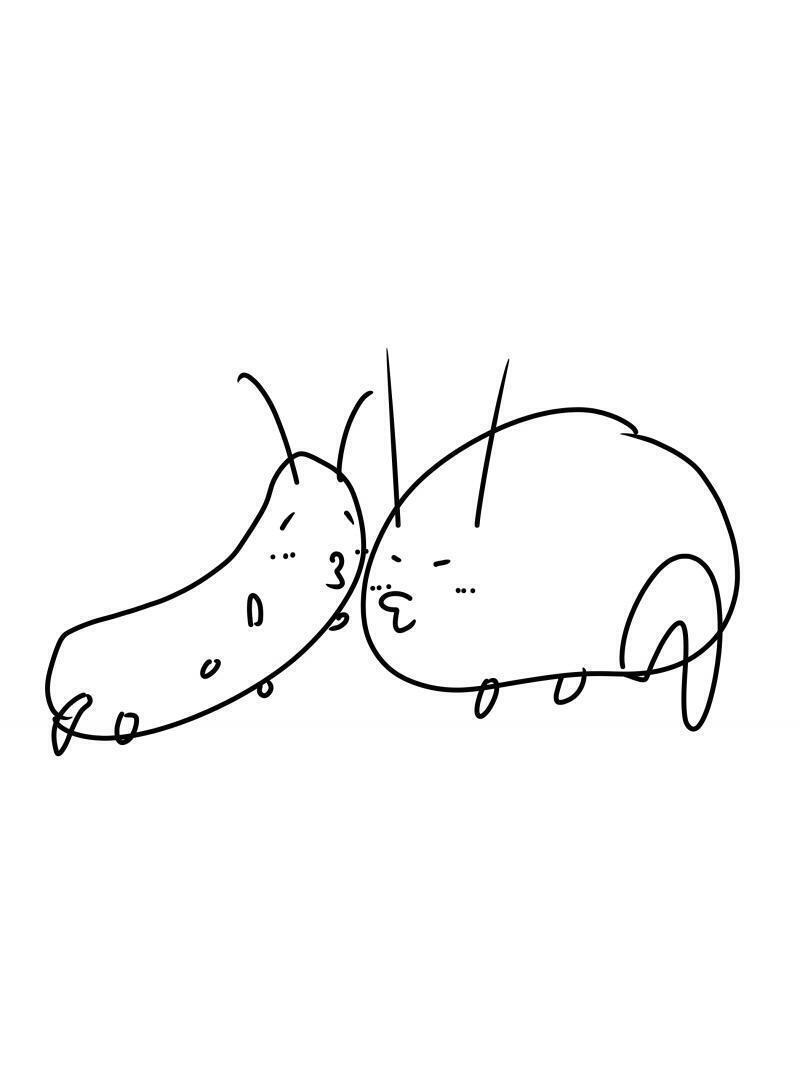 다음