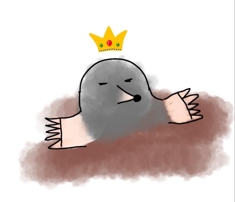 정답 되게 잘하네