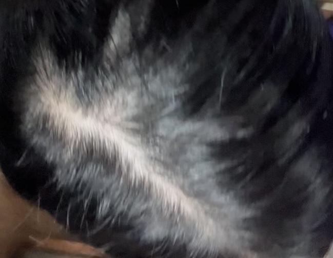 어때