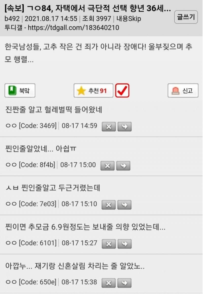 투디갤 대충 이런 사이트임