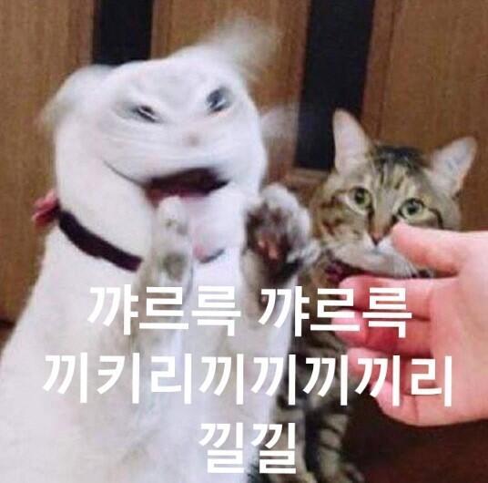 움짤안되는거 넘아쉽다