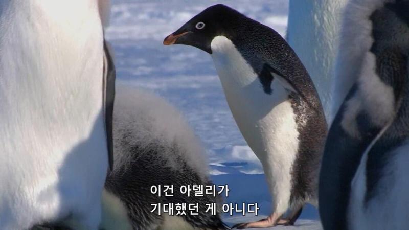 얘들아 앋엘이가 이건 기대했던게 아니래잖아 그만해