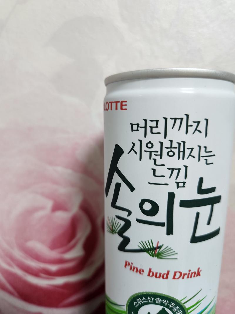 스레주의 내돈내산 솔의 먹방타임