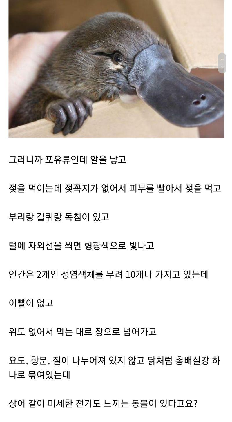 비비비비