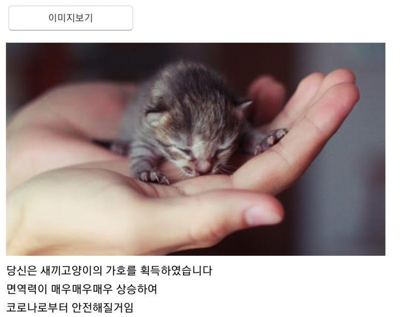 귀여워