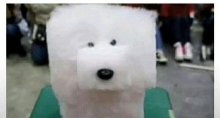 지몁귀 미뭄멈 모네모네 먀파 미먐고 다보 미뭄멈 는나 데근 먀미먐고 만시르페 는미먐고 집리무 라니마 미몸먀 때물 뭐며귀 무너 서머물 고라메메