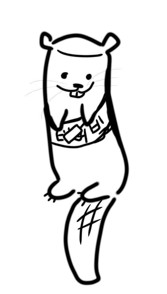 자체