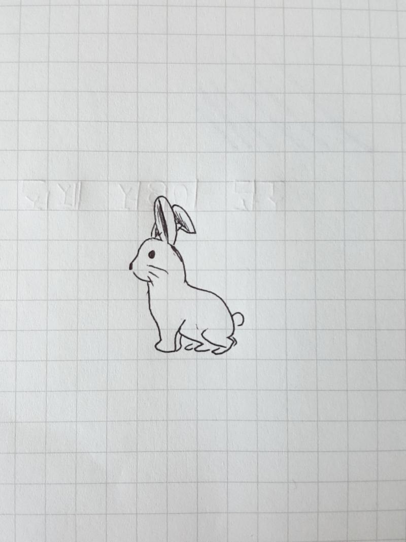 이거 이게 개로 보여