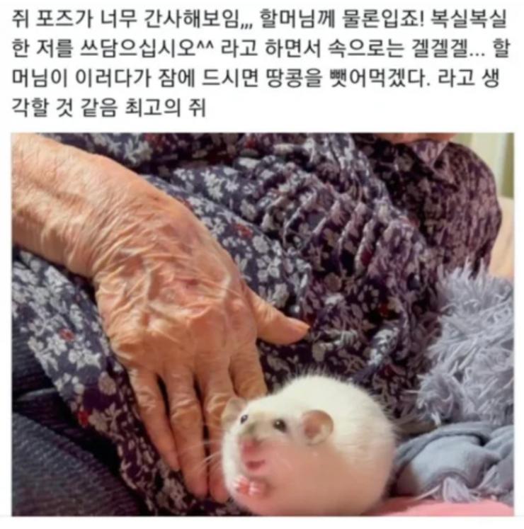 우선 먼저