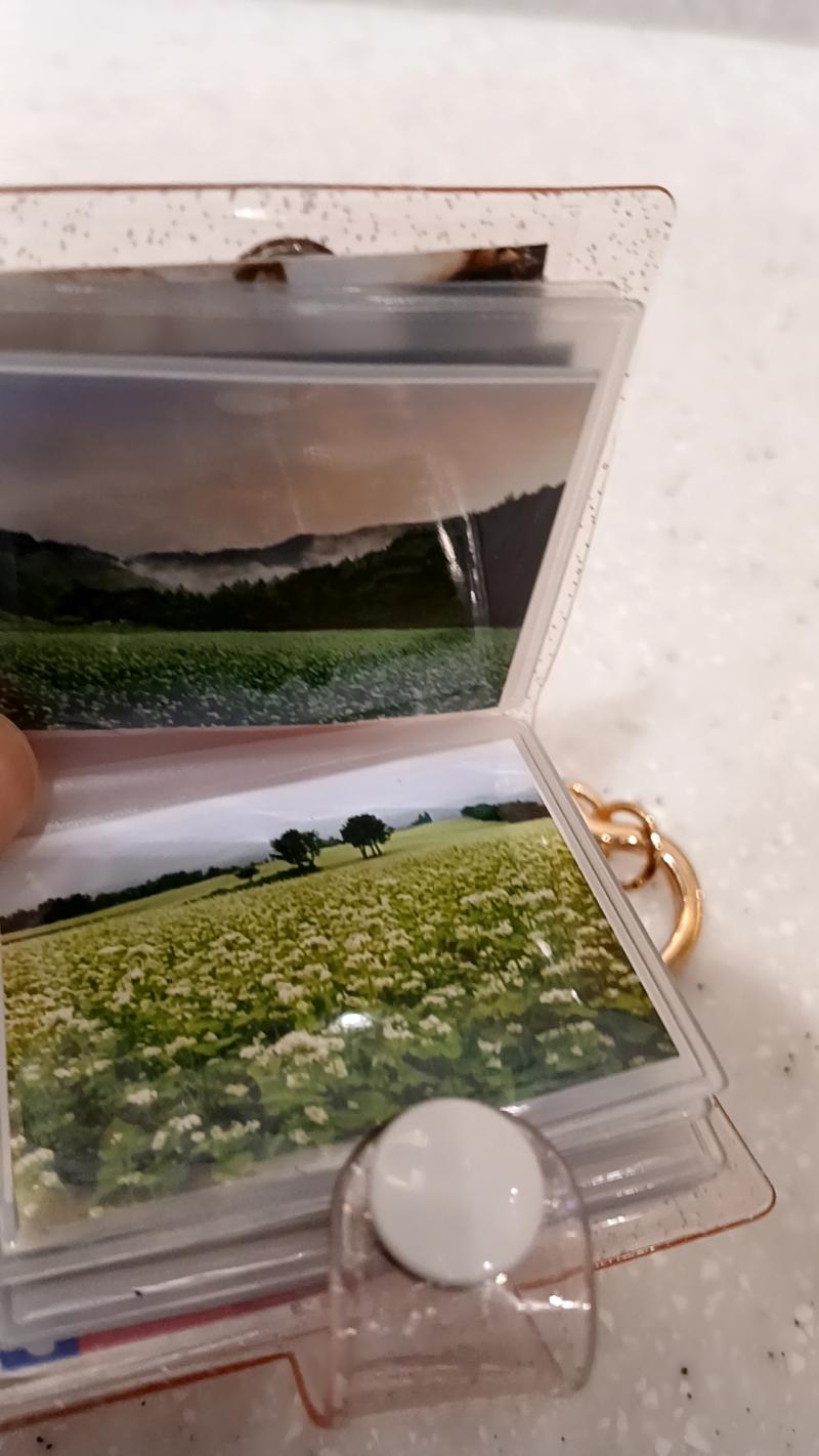 그동안 평소에도 A에 대해 떠올리고 생각할만한 물건이 없을까 고민하고 찾아봤었는데 마땅한 물건이 없더라 그래서 내가 하나 직접 만들었어 다이소에서 열쇠고리 스트랩북에 사진인화한거