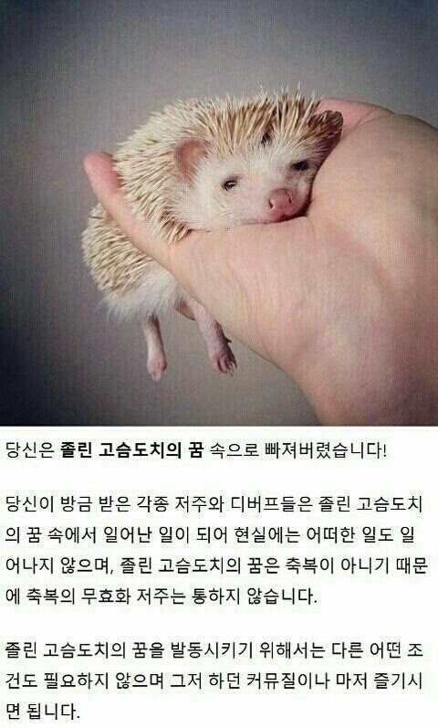 뿅