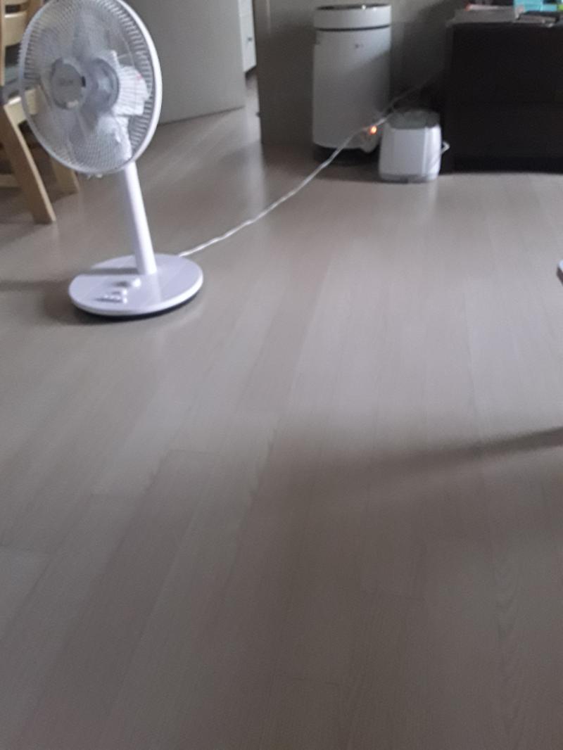 사진여강