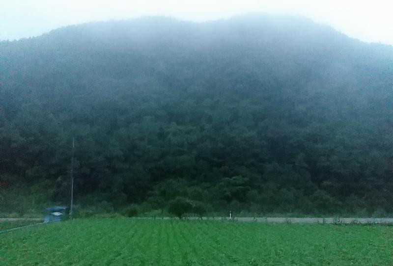 예전에 시골 들렀을때 찍은 사진