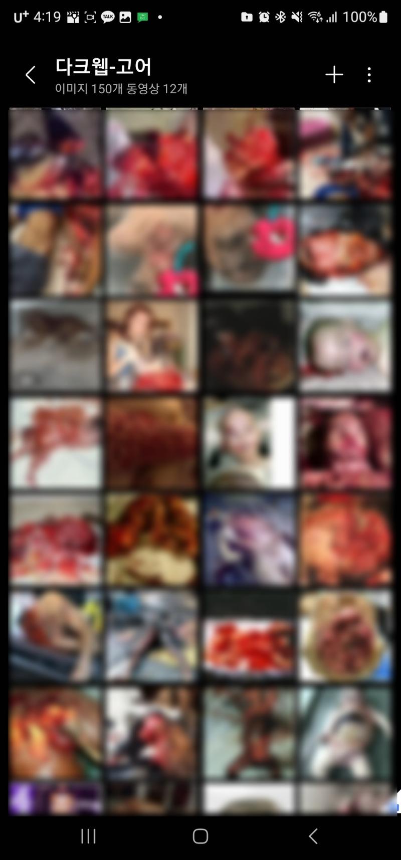 고어를 보는것은 취향의 일부라고 생각함 나도 자주 찾아보고 볼만한건 다시 보기 편하게 저장도 해두는데 솔직히 말해서 공포영화를 보고 공포심을 즐기거나 매운걸 먹고 고통으로