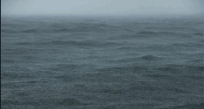 레벨 심해 공포증 Level Thalassophobia 안전하지 않음 확인된 엔티티 개체 하나 레벨 백룸의 번째 레벨이다 설명 레벨 끝없이 이어지는 망망대해가 펼쳐진 곳이다