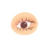 아이라인은 꼬리쪽만 빼고 뒤트임 속눈썹 하이라이터 해봄