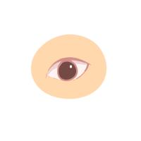 아이라인은 꼬리쪽만 빼고 뒤트임 속눈썹 하이라이터 해봄