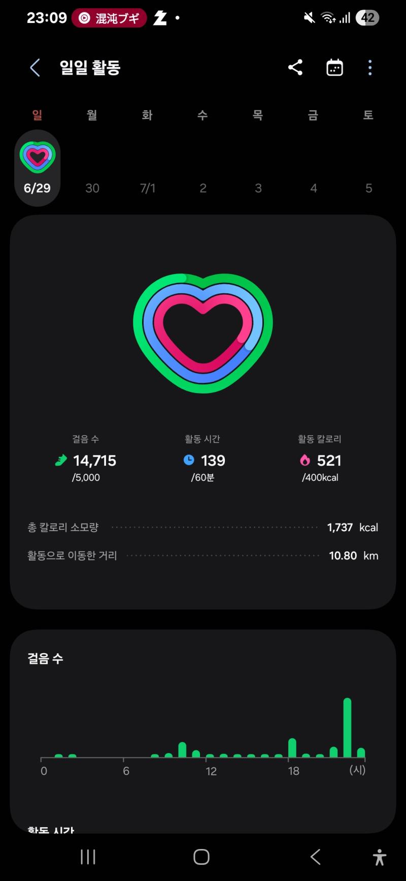 습하고 텁텁한 여름 날씨가 넘나 좋다 특이취향