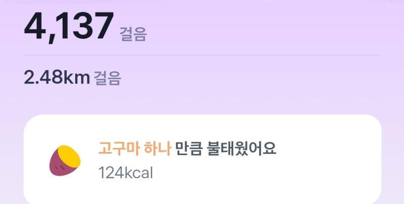 스레주 기상 오늘도 힘내서 열심히 아침 잡곡밥 소고기 구이 김치 생야채 양상추 오이 다먹고 개랑 제로음료 한병 냠냠 점심 직접 만든 오므라이스랑 간식으로 저녁 에프에서 닭가슴살