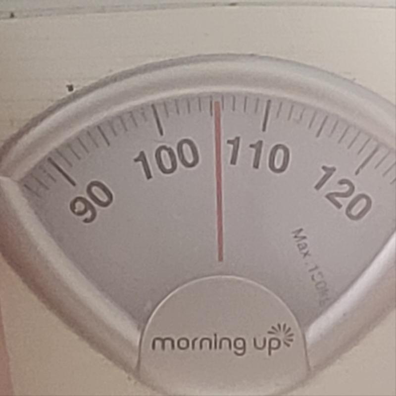 빠져있음 당연히 수분 무게나 근육이 빠진거겠지만 kg 예상하고 올라왔는데 표면상으로는 빠져있으니까 기분 째짐 나이스 아니 거의 kg 코끼리가 다되가는데 뭔소리냐고 참고하면