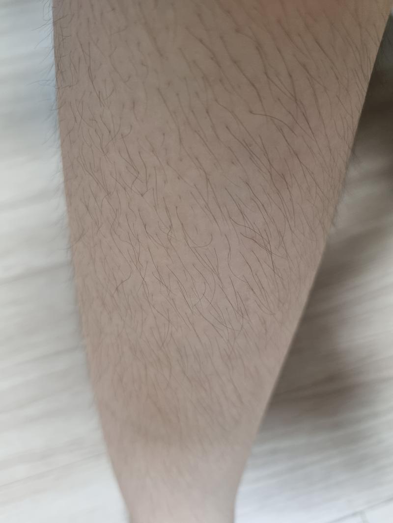 순서대로 다리랑 사진이야