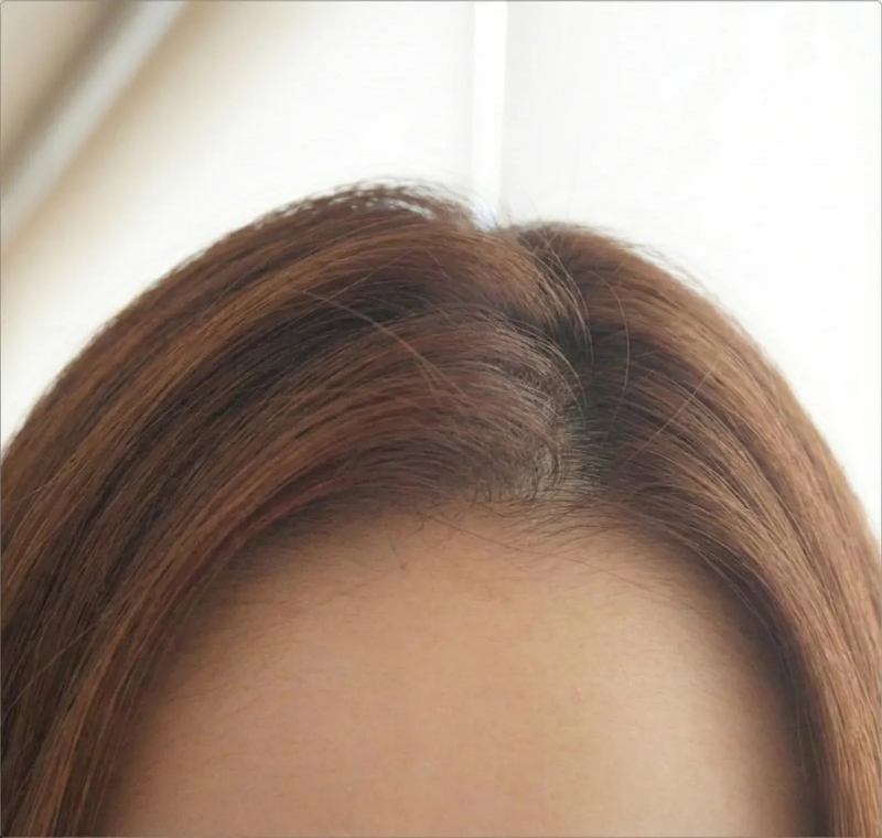원래 물미역인데 요렇게 살아 밤까지 유지된당
