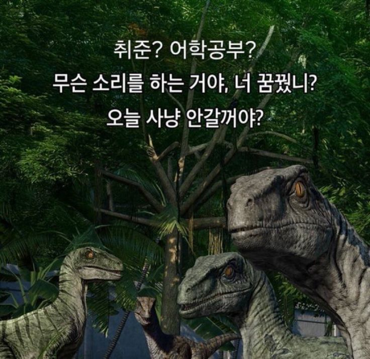 졸업시켜줘