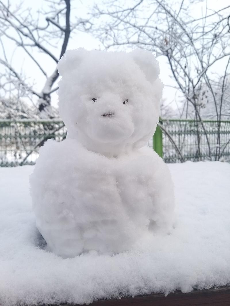 사진은 얼마 내가 만든 눈곰 하얀 눈이 좋아 시원하고 밟을 뽀독뽀독하는 느낌도 좋아 세상이 하얗게 물들면 정말 아름다워 눈오기 전의 은은한 잿빛 하늘도 예쁘고 눈이 그친 맑아진